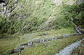 Inca Trail, Phuyupatamarka ruins